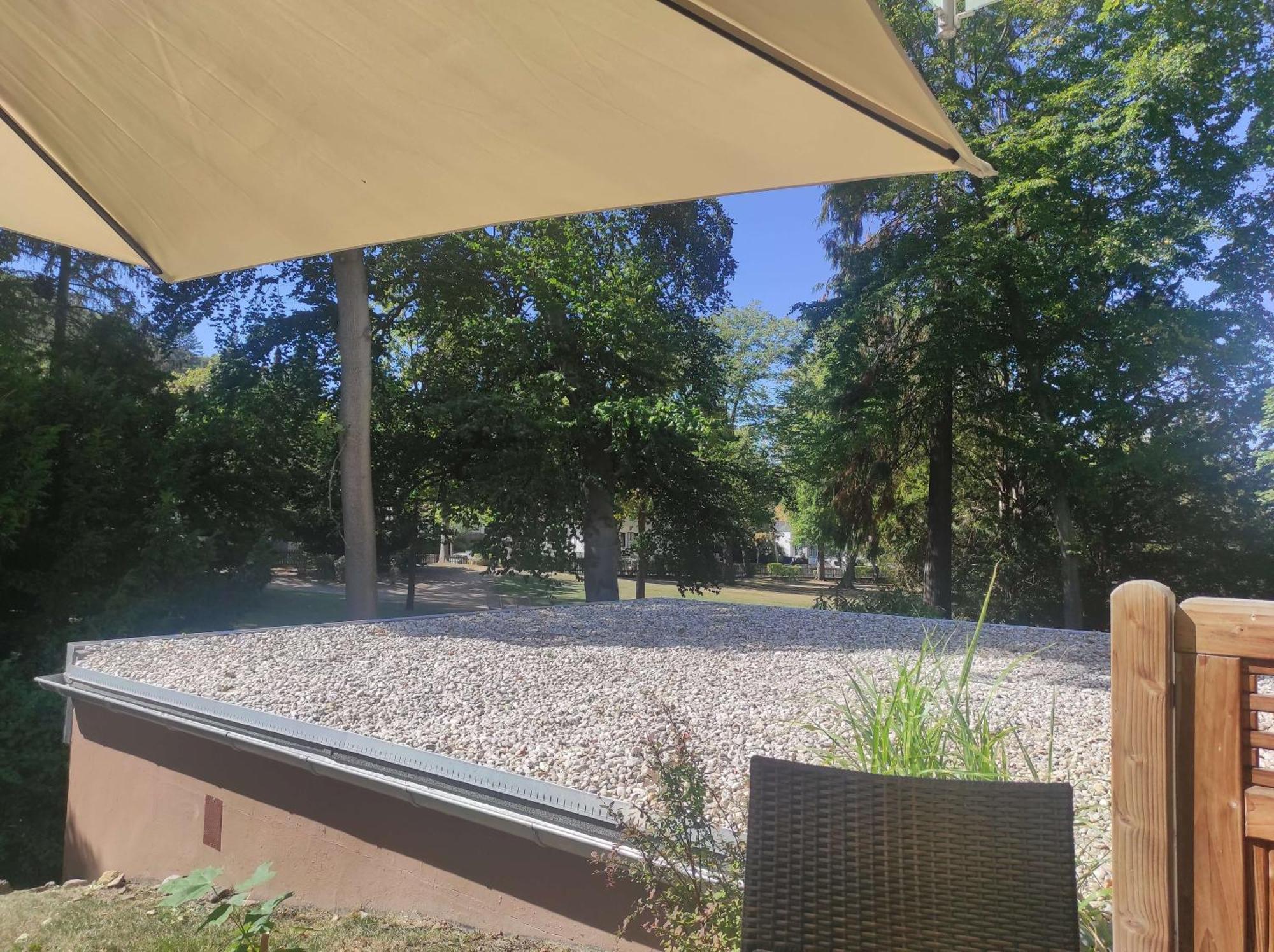 Ferienwohnung Magdalena Bad Harzburg Exteriör bild